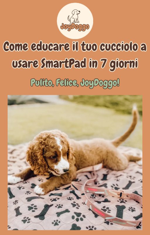 EBook - Cucciolo educato in 7 giorni