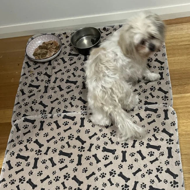 1726789914267_review_1.webp__PID:61d1ceb5-5004-4d8e-8789-a67b48f6a120