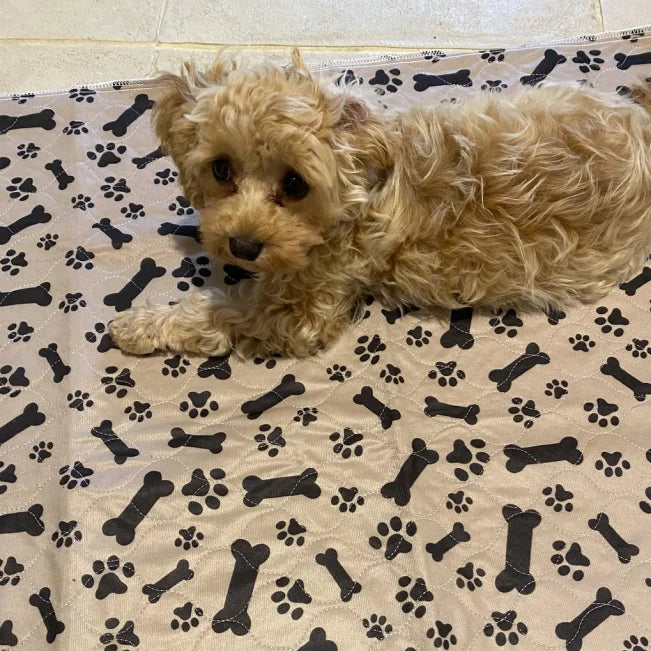 1726789948768_review_2.webp__PID:d1ceb550-04bd-4ec7-89a6-7b48f6a1206c