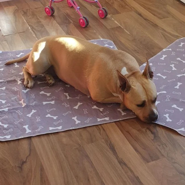 1726789976122_review_4.webp__PID:b55004bd-8ec7-49a6-bb48-f6a1206c9a4b